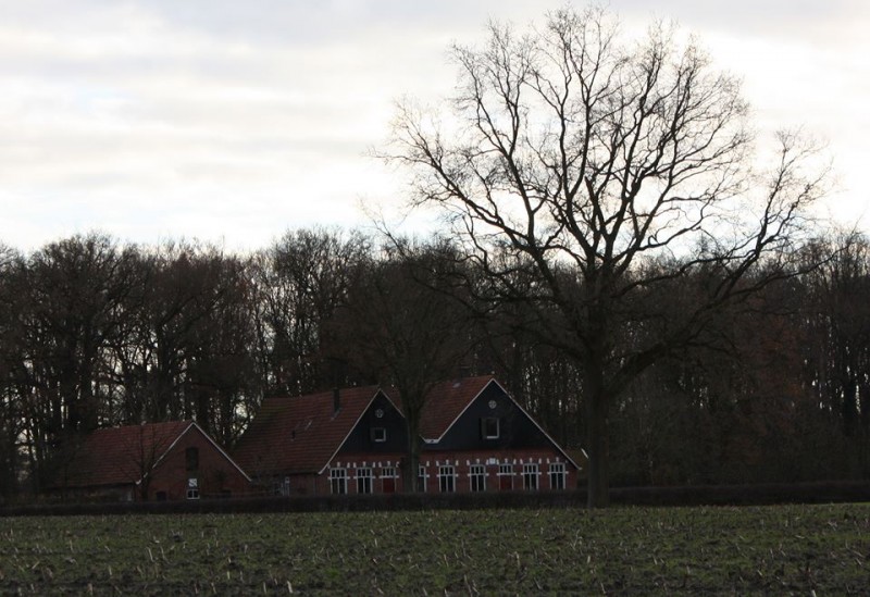 Lutje Brunink boerderij.jpg