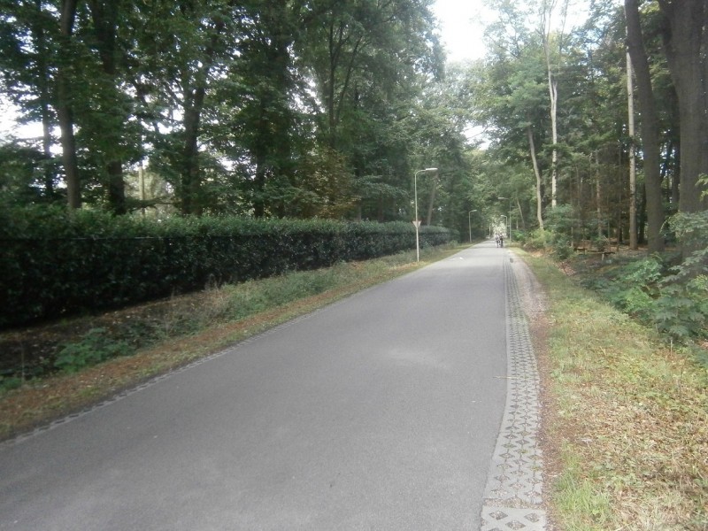 Bosweg.JPG