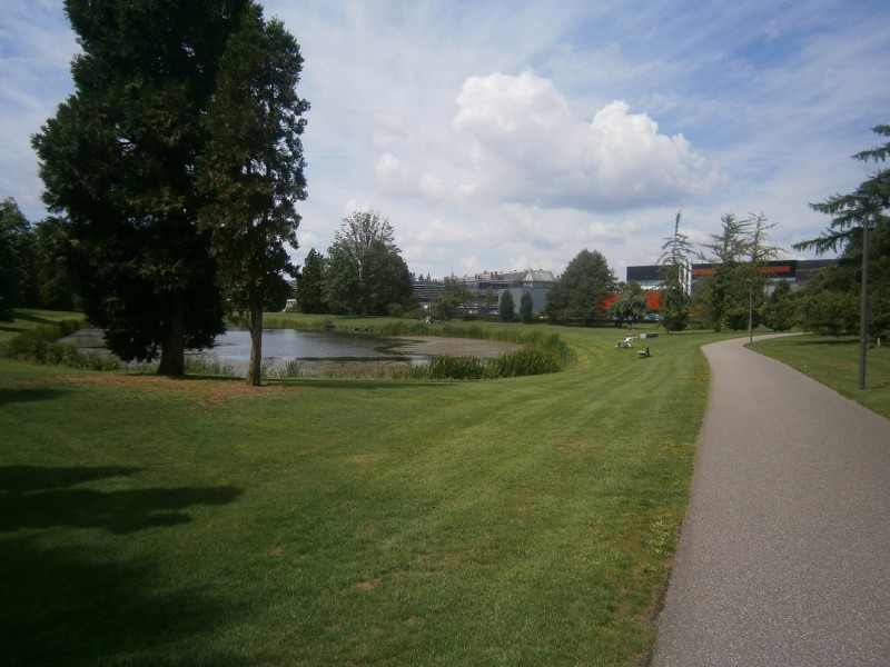 De Achterhorst links de Pinetum.JPG