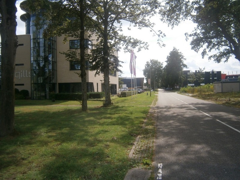 Palatijn vanaf Hengelosestraat.JPG
