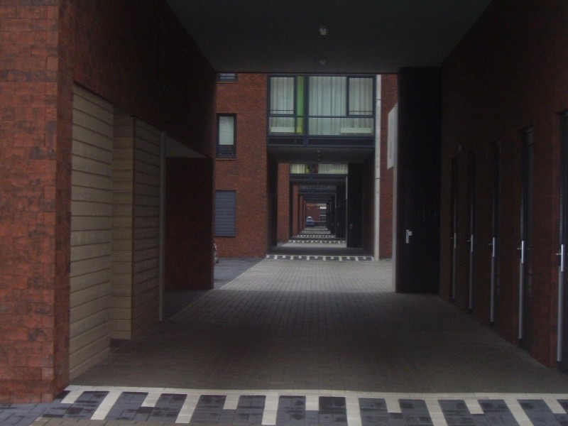 2012 027.JPG