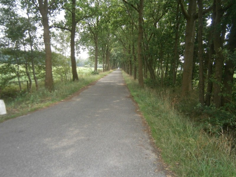 Grefteberghoekweg.JPG