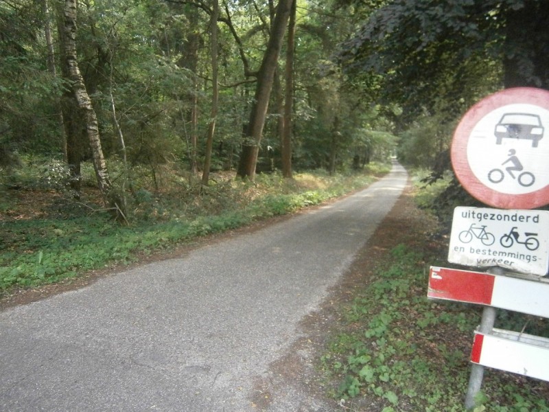 Bergweg vanaf Noordergrensweg.JPG