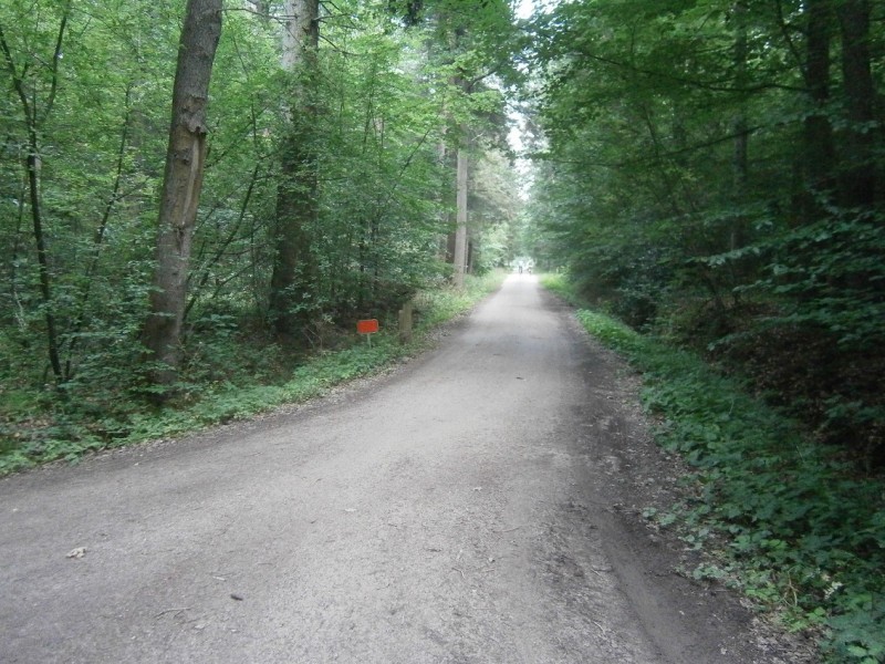 Bergsveldweg vanaf de Bergweg.JPG