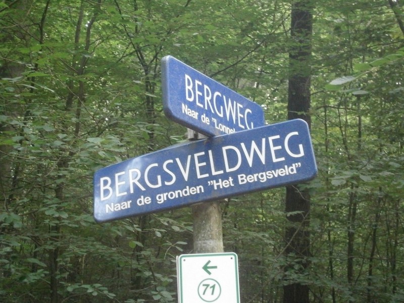 Bergsveldweg straatnaambord.JPG