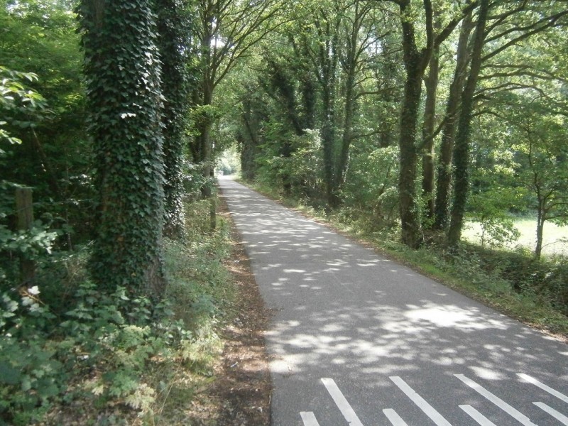 Brandemaatweg vanaf De Braakweg.JPG