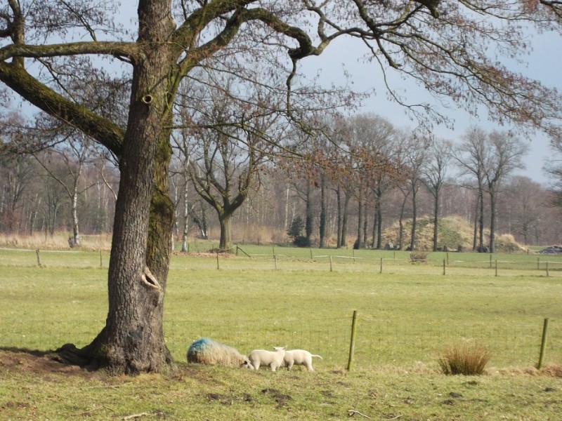 Pompstationweg Voorjaar 2013 (2).JPG