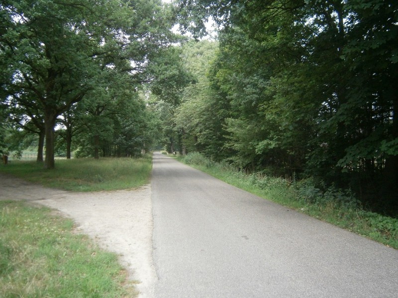 Pompstationweg vanaf Horstlindelaan.JPG