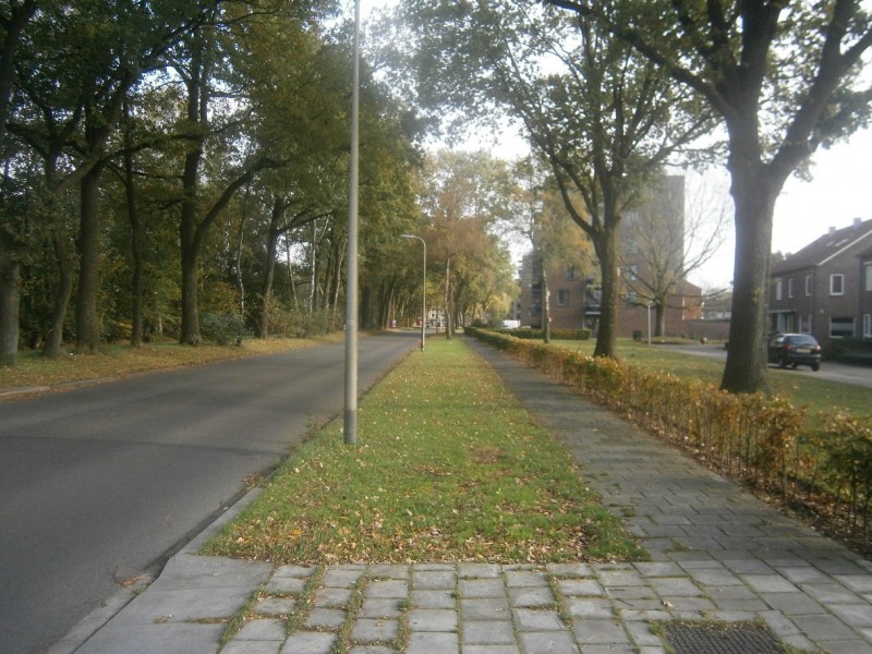 Vanekerstraat vanaf Jan van Zutphenstraat.JPG