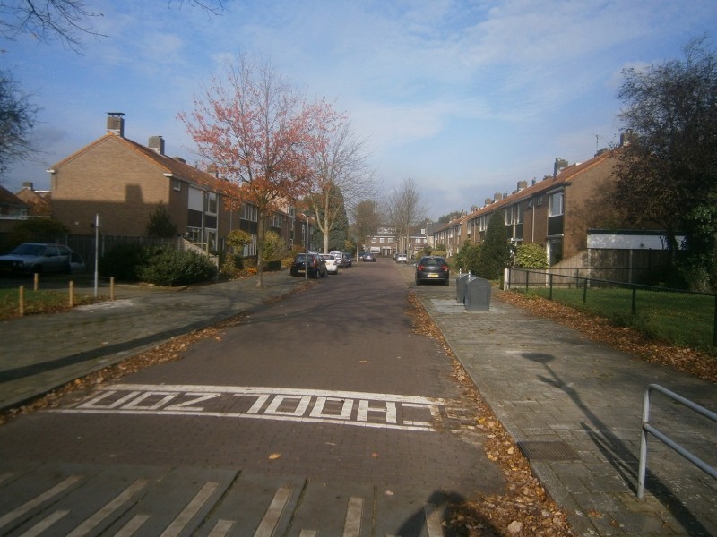 Jan van Zutphenstraat.JPG