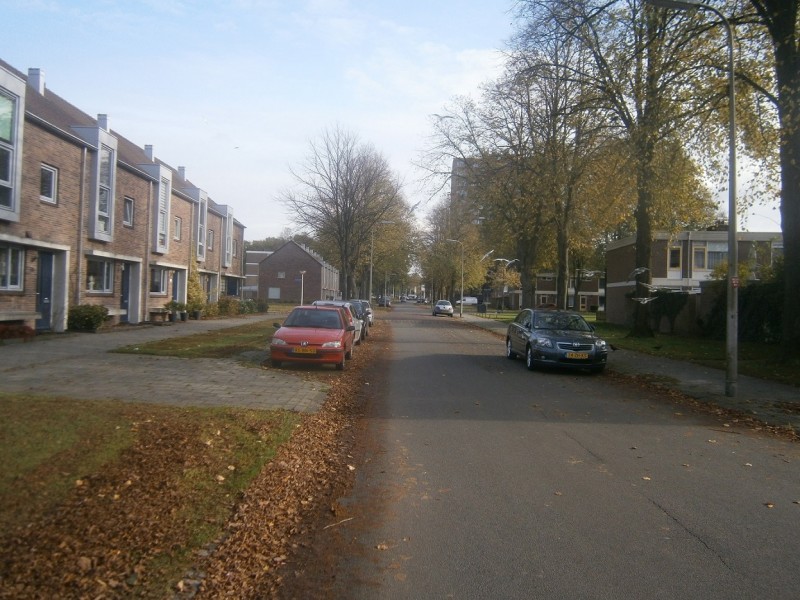 Scheldestraat.JPG