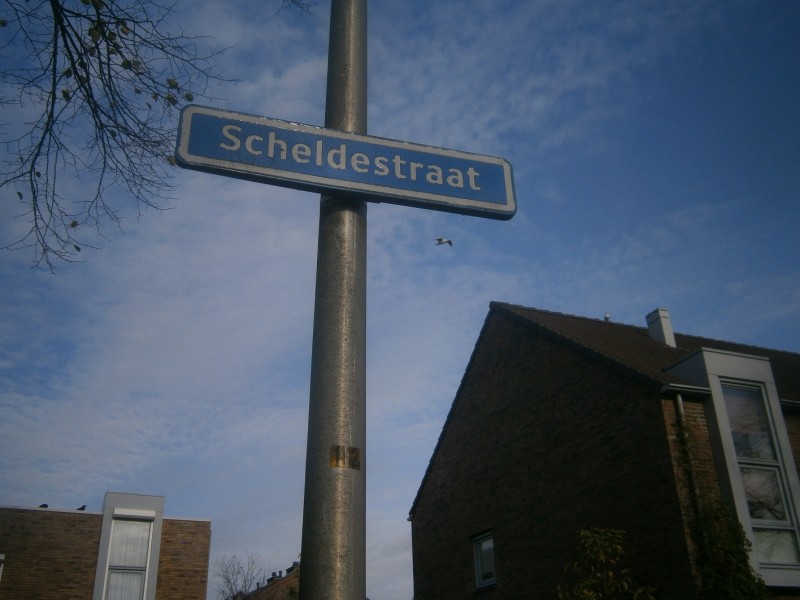 Scheldestraat straatnaambord.JPG