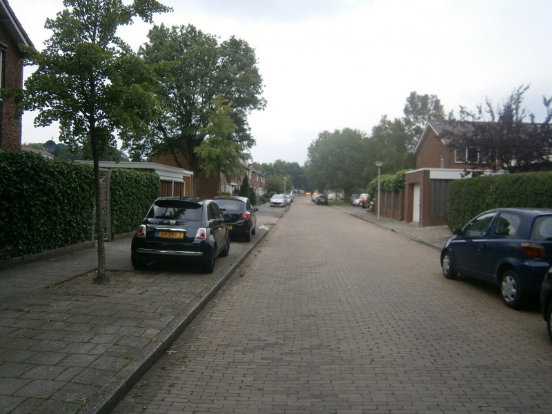 Dollardstraat.JPG