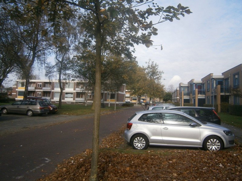 Spaarnestraat vanaf Lijsterstraat.JPG