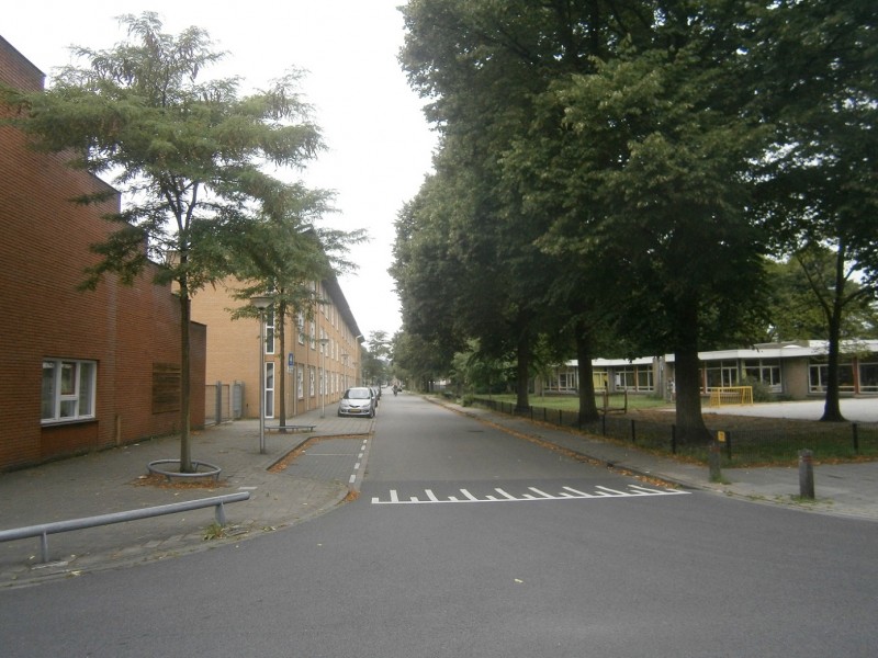 Dr. van Damstraat vanaf Stroinksbleekweg.JPG