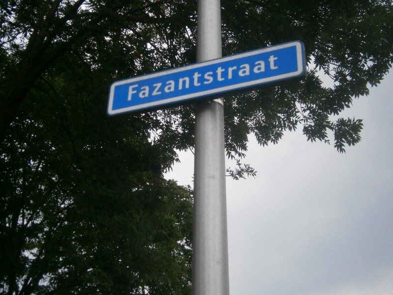 Fazantstraat straatnaambord.JPG