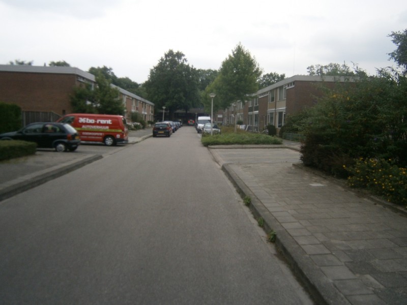 Reigerstraat.JPG