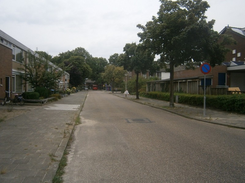 Buizerdstraat (2).JPG