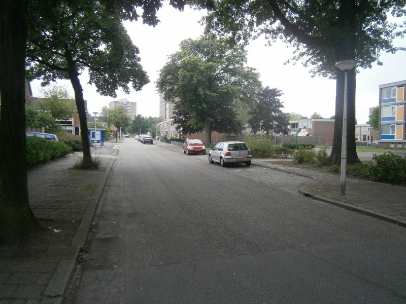 Buizerdstraat.JPG