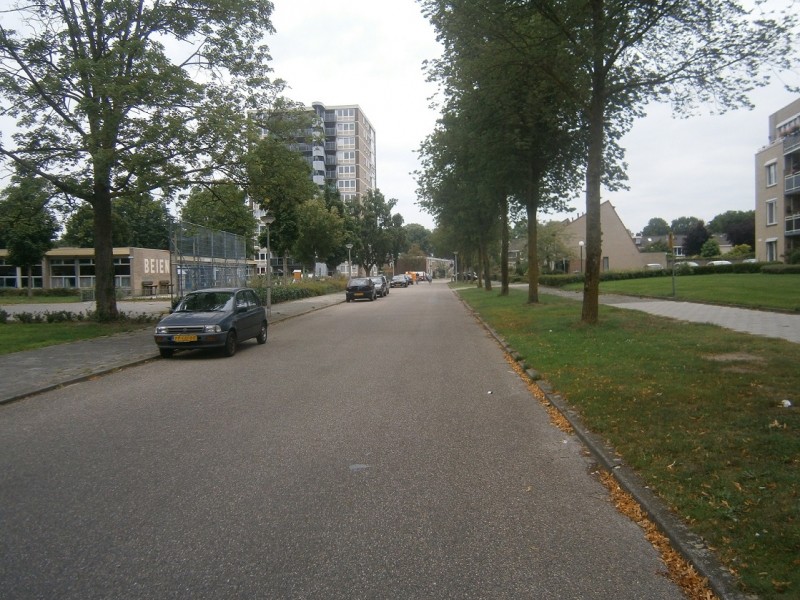 Buizerdstraat vanaf Hulsmaatstraat.JPG