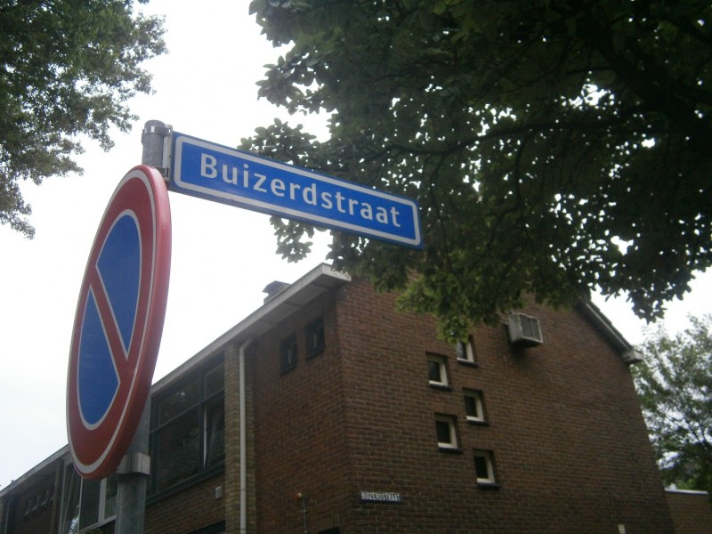 Buizerdstraat straatnaambord.JPG