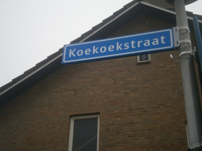Koekoekstraat straatnaambord (2).JPG