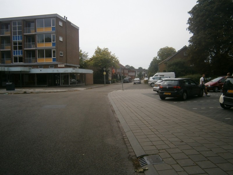 Koolmeesstraat vanaf Fazantstraat.JPG