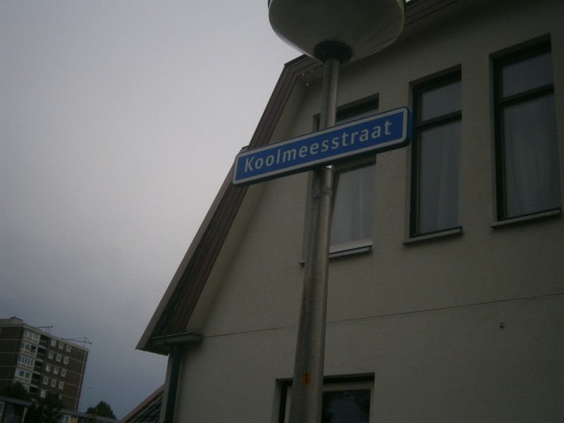 Koolmeesstraat straatnaambord (2).JPG
