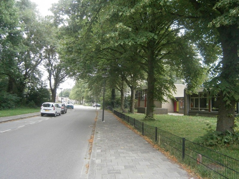 Meeuwenstraat vanaf Dr. van Damstraat.JPG
