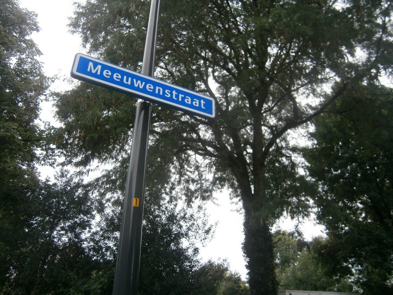 Meeuwenstraat straatnaambord.JPG