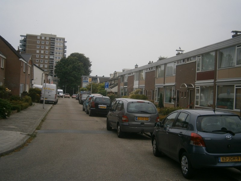 Pluvierstraat vanaf Meeuwenstraat.JPG