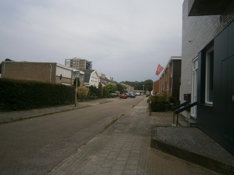 Pluvierstraat vanaf Fazantstraat.JPG