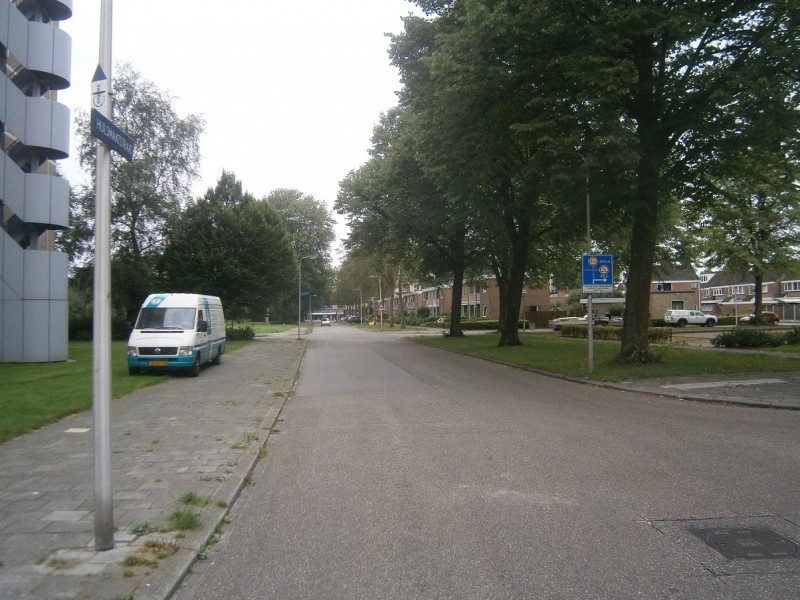 Hulsmaatstraat hoek Buizerdstraat richting Meeuwenstraat.JPG