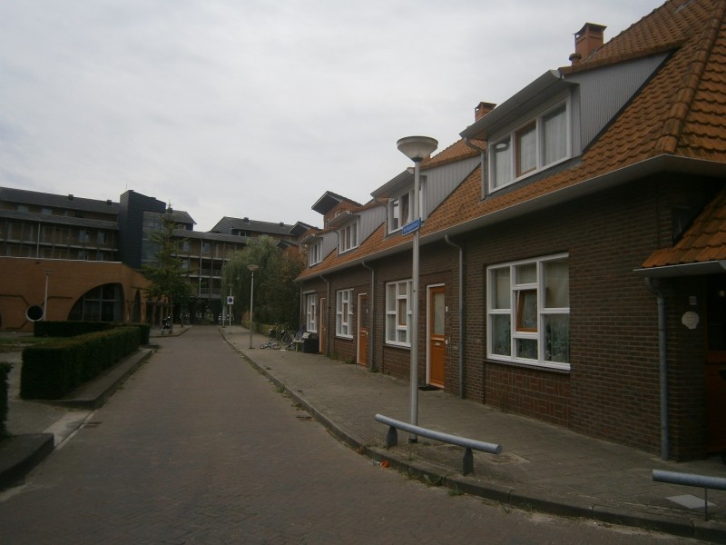 Nachtegaalstraat vanaf Roomveldje.JPG