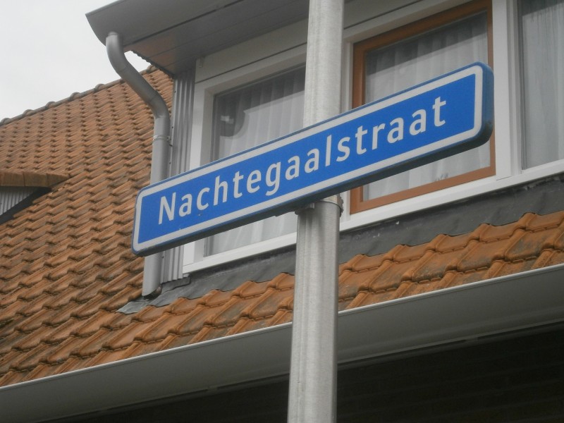 Nachtegaalstraat straatnaambord.JPG