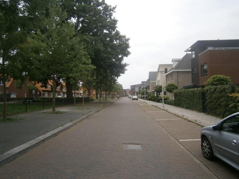 Nieuwlustraat vanaf Dr. van Damstraat.JPG