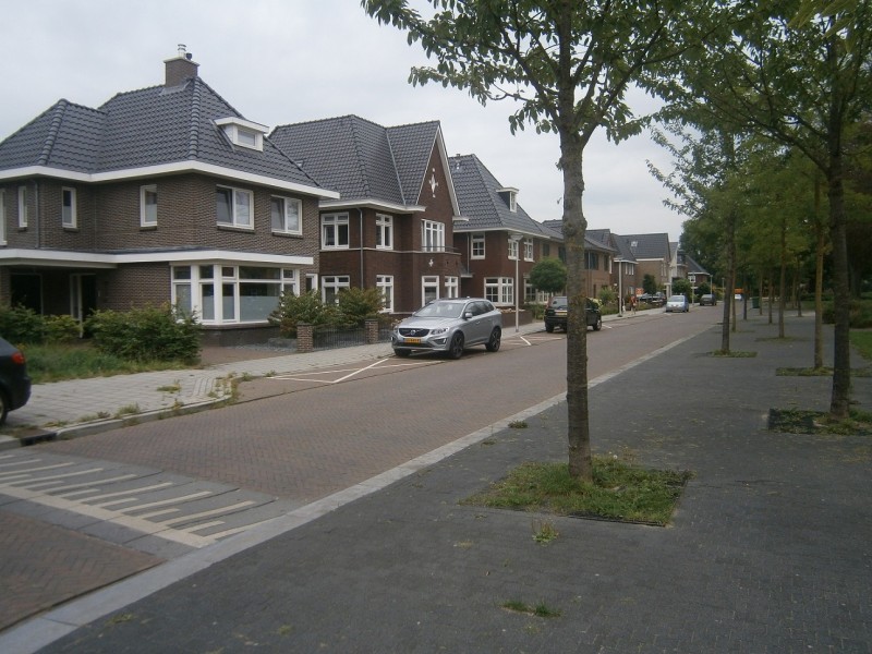 Nieuwluststraat (2).JPG