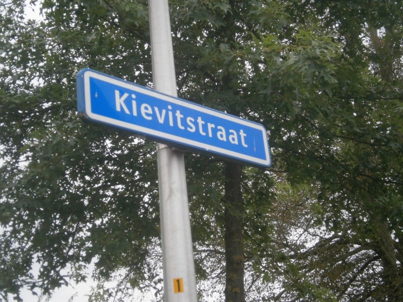 Kievitstraat straatnaambord.JPG