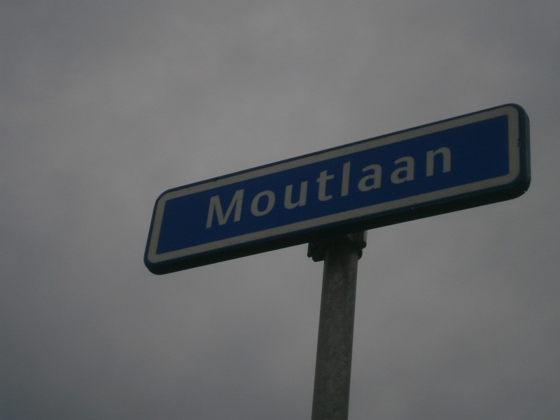 Moutlaan straatnaambord (2).JPG