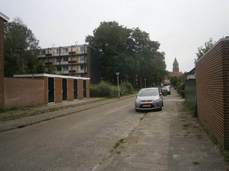 Patrijsstraat richting Hopstraat.JPG