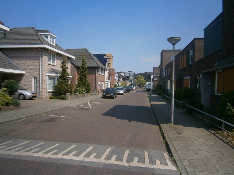 Renbaanstraat richting Roomweg.JPG