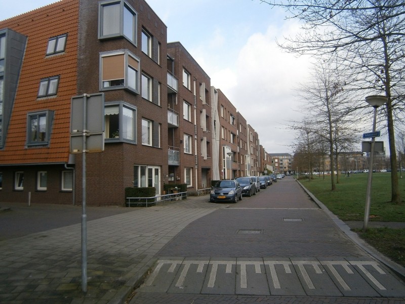 Tollensstraat richting Roomweg.JPG