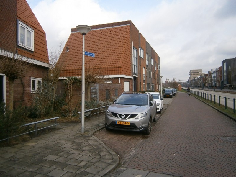 Tollensstraat vanaf Lasondersingel.JPG