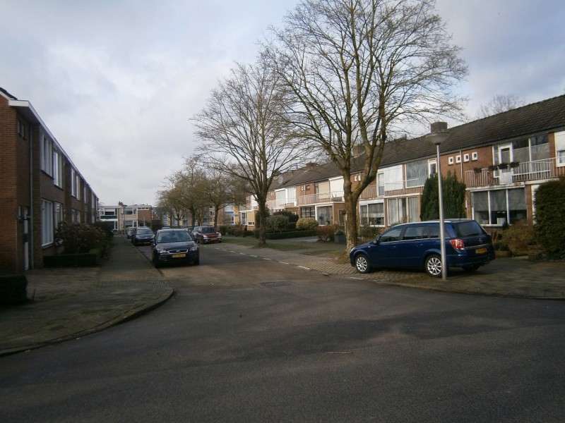 IJsvogelstraat vanaf Stroinksbleekweg.JPG