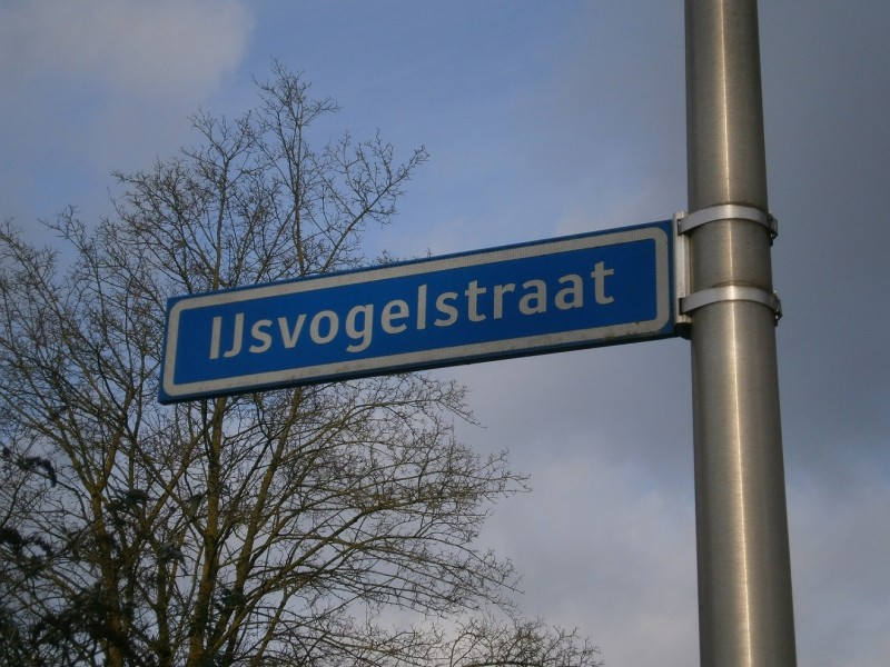 IJsvogelstraat straatnaambord.JPG