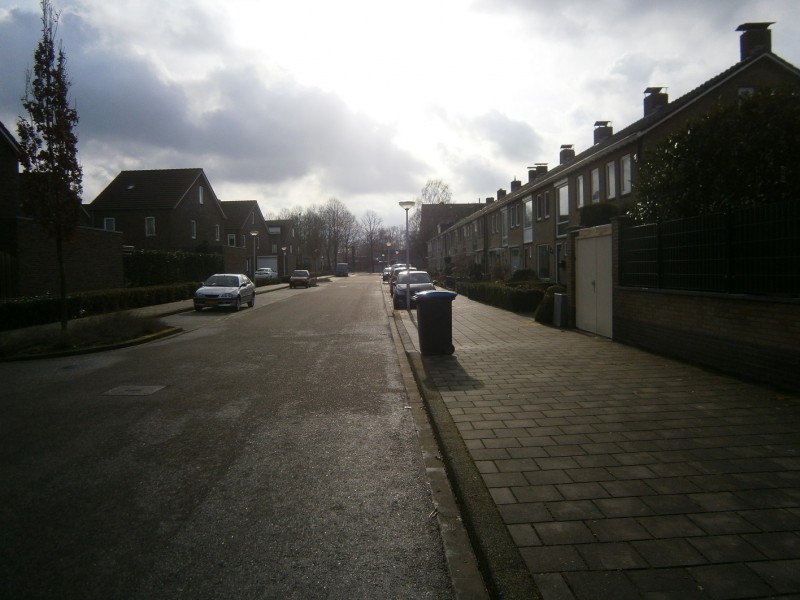 P.A. van Deldenstraat vanaf Vanekerstraat.JPG