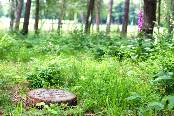 Straks 9000 graven in de natuur van Twekkelo.jpg