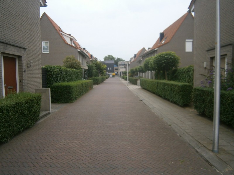 Velduilstraat vanaf Bosuilstraat.JPG