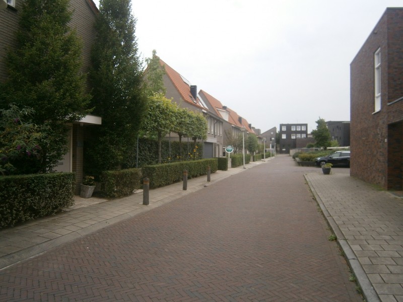 Steenuilstraat.JPG