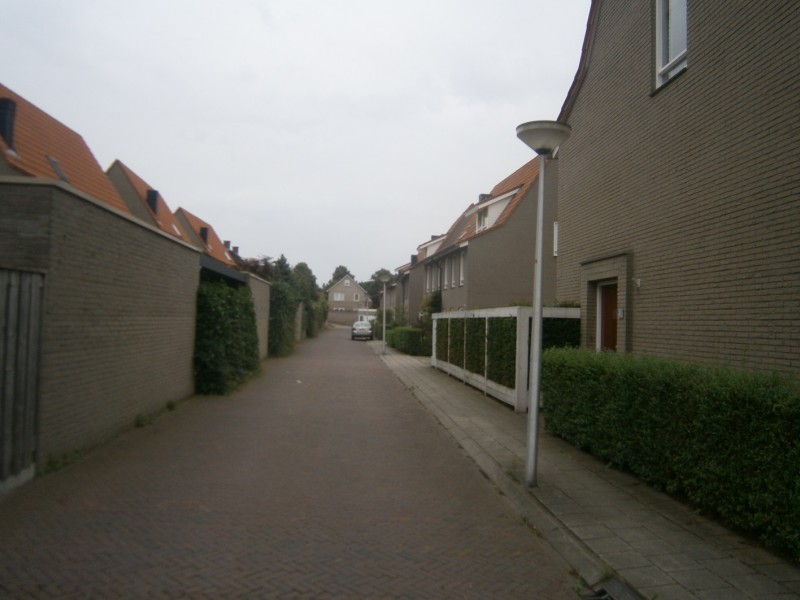 Steenuilstraat vanaf Bosuilstraat.JPG